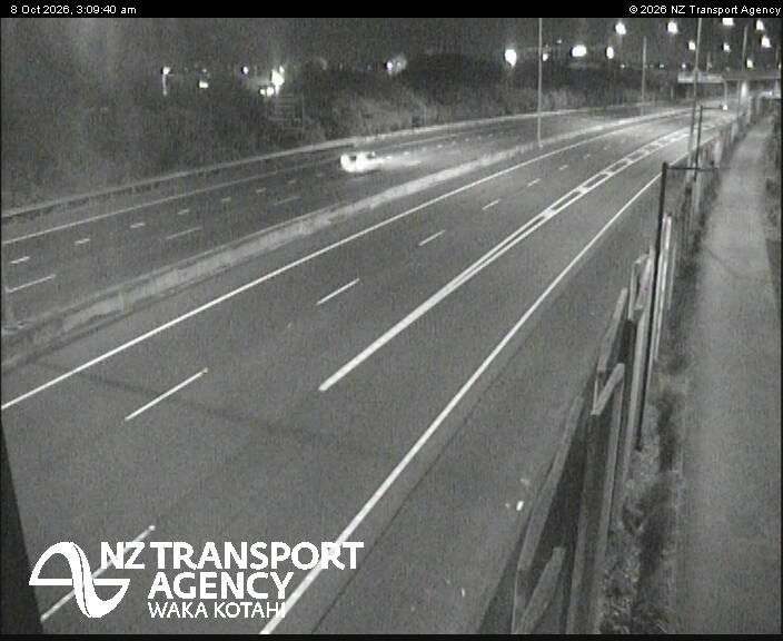 sh20-te-whitinga-footbridge-1791429030.jpg