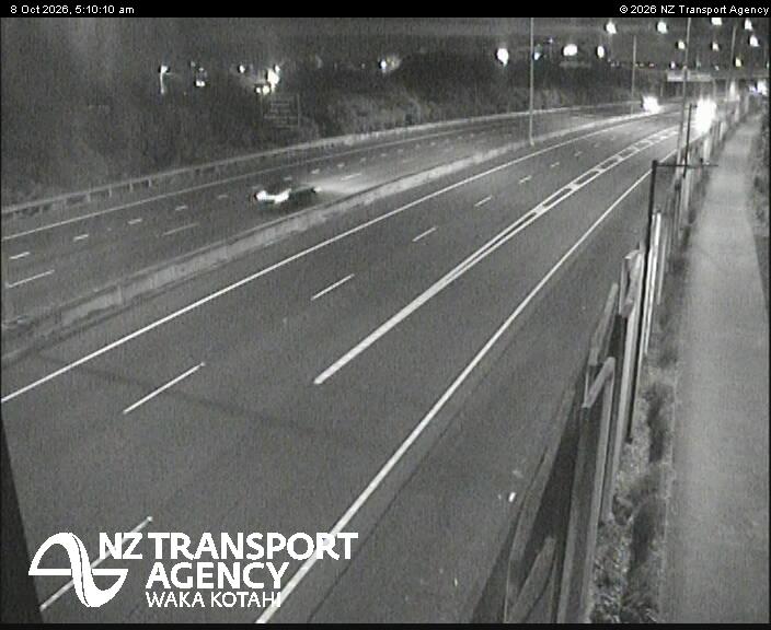 sh20-te-whitinga-footbridge-1791436232.jpg