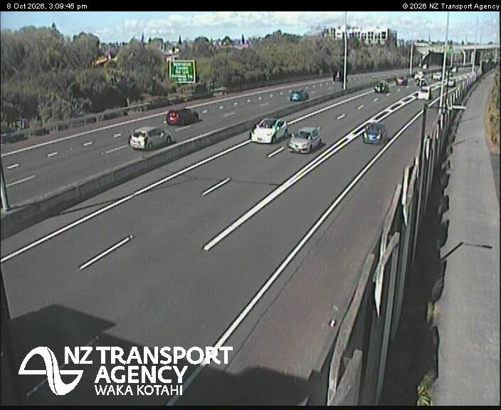 sh20-te-whitinga-footbridge-1791472228.jpg