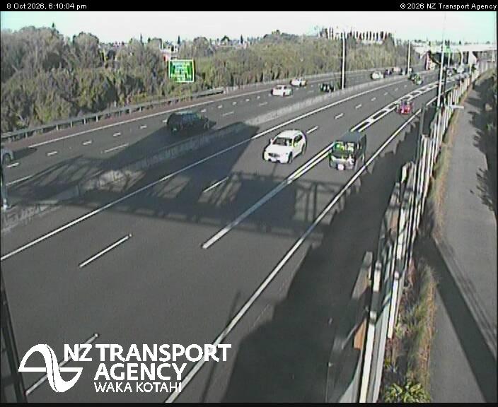 sh20-te-whitinga-footbridge-1791483056.jpg