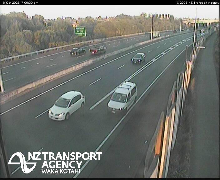 sh20-te-whitinga-footbridge-1791486639.jpg
