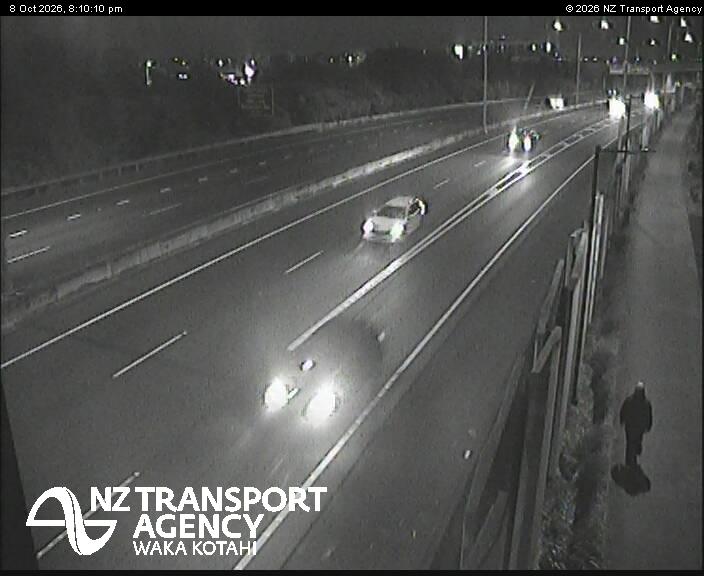 sh20-te-whitinga-footbridge-1791490244.jpg