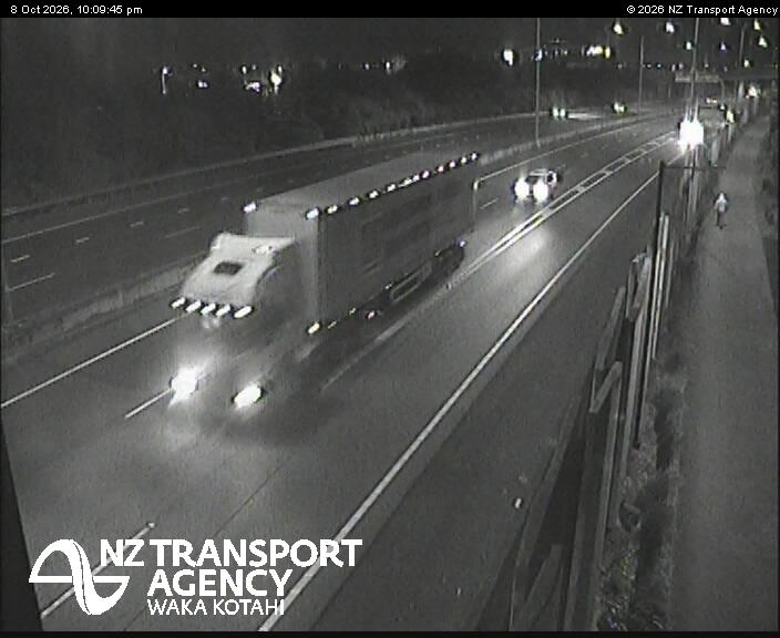 sh20-te-whitinga-footbridge-1791497446.jpg