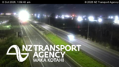 sh20-plunket-ave-overbridge-1791421829.jpg