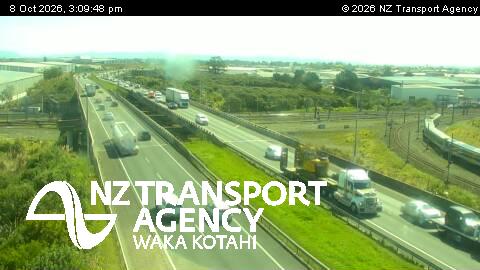 sh20-plunket-ave-overbridge-1791472225.jpg