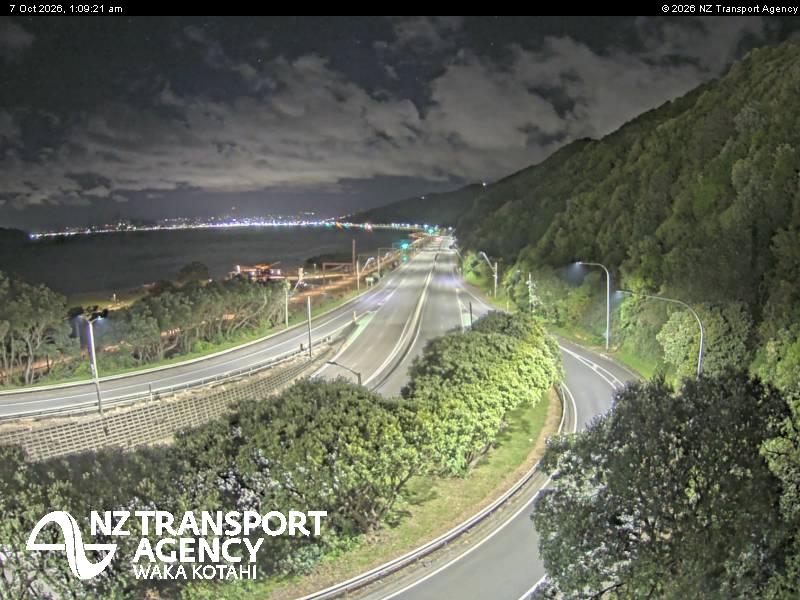 sh2-petone-1791335429.jpg
