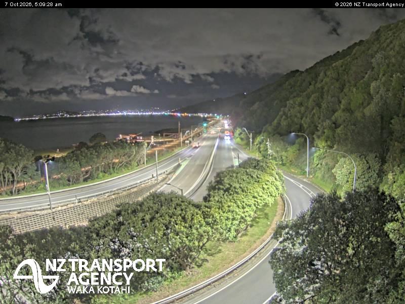 sh2-petone-1791349810.jpg