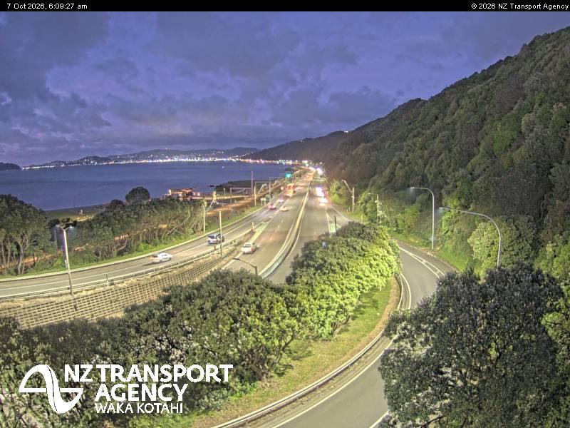 sh2-petone-1791353421.jpg
