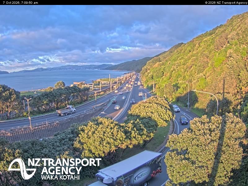 sh2-petone-1791357014.jpg