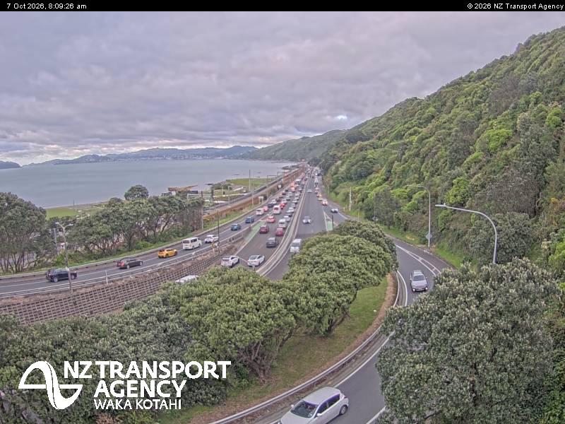 sh2-petone-1791360613.jpg