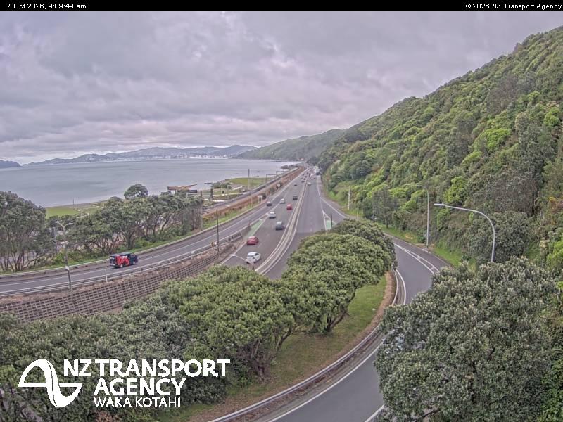 sh2-petone-1791364216.jpg