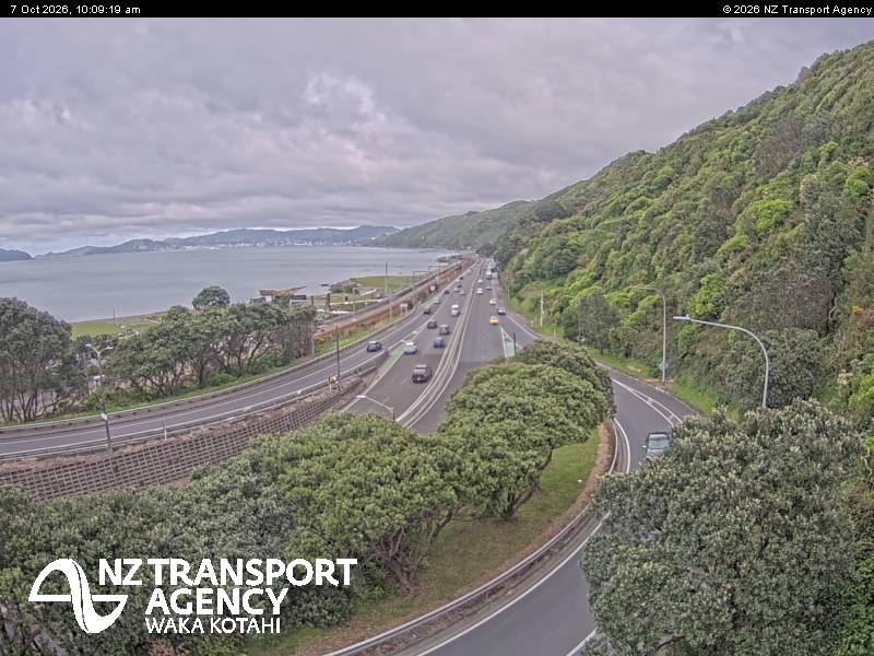 sh2-petone-1791367823.jpg