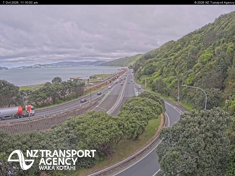sh2-petone-1791371418.jpg