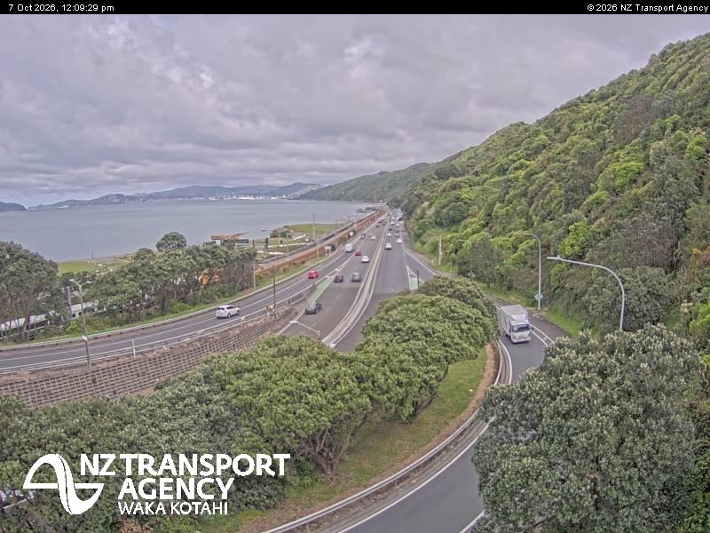 sh2-petone-1791375018.jpg