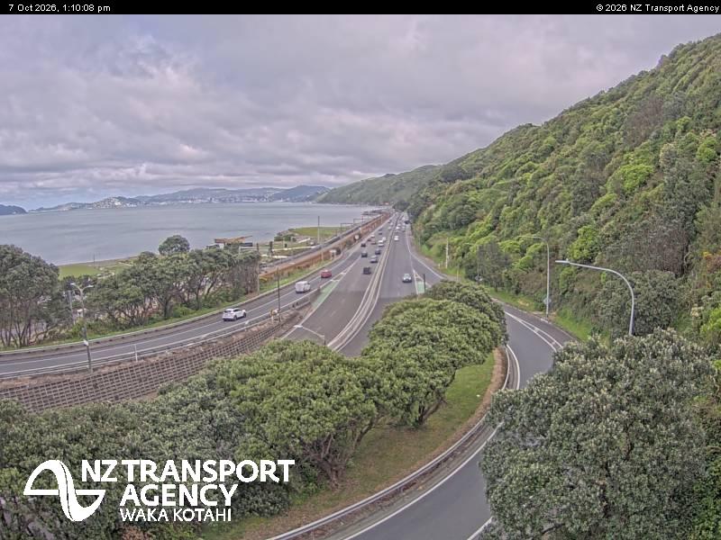 sh2-petone-1791378621.jpg