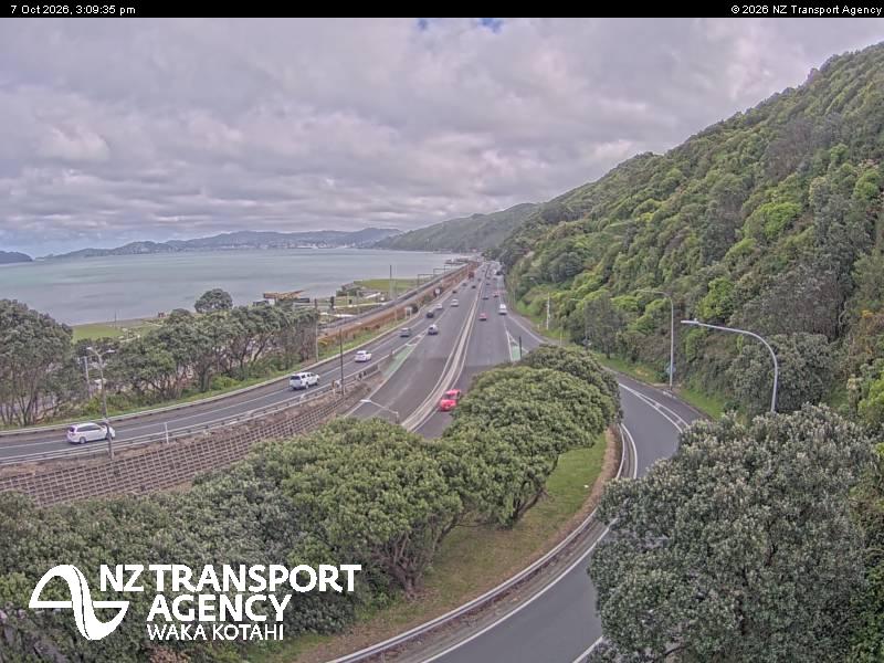 sh2-petone-1791385815.jpg