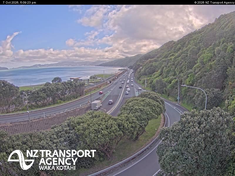 sh2-petone-1791393014.jpg