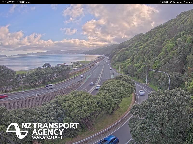 sh2-petone-1791396612.jpg