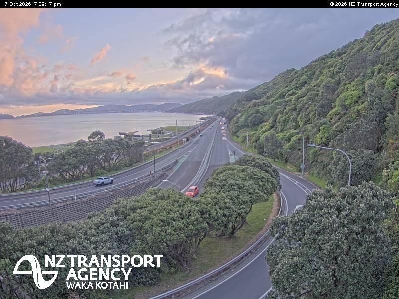 sh2-petone-1791400210.jpg