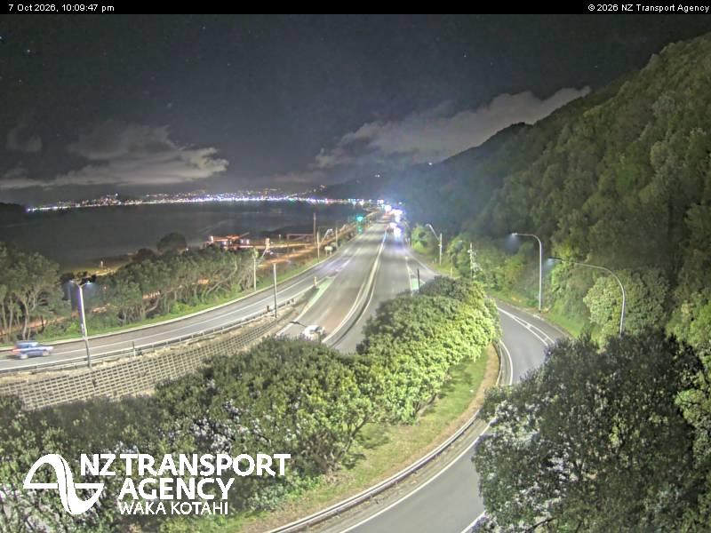 sh2-petone-1791411018.jpg