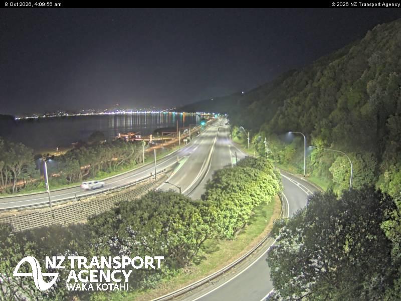 sh2-petone-1791432613.jpg