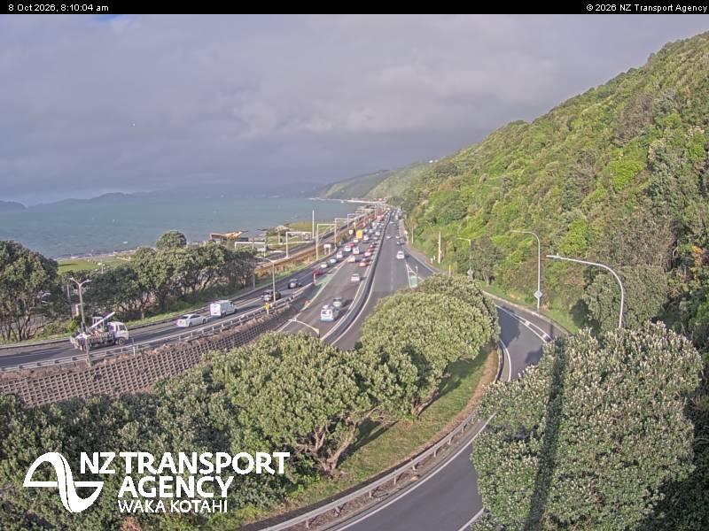 sh2-petone-1791447022.jpg