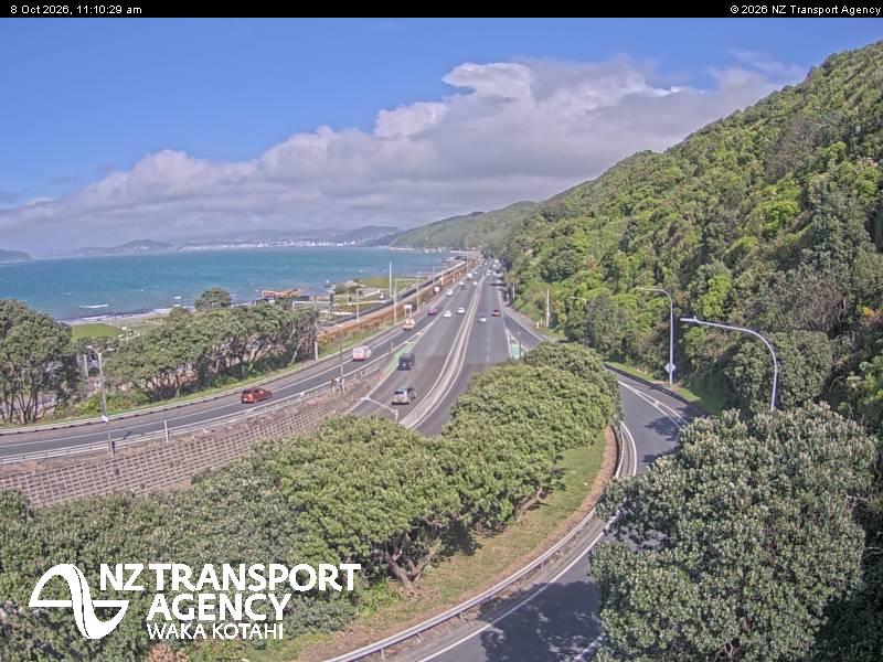 sh2-petone-1791457835.jpg