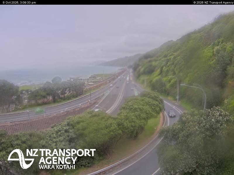 sh2-petone-1791472211.jpg