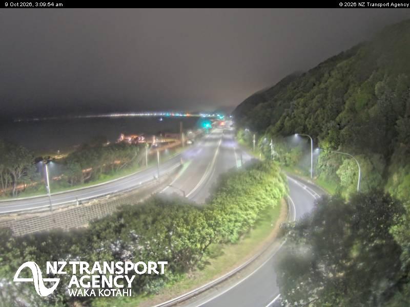 sh2-petone-1791515410.jpg