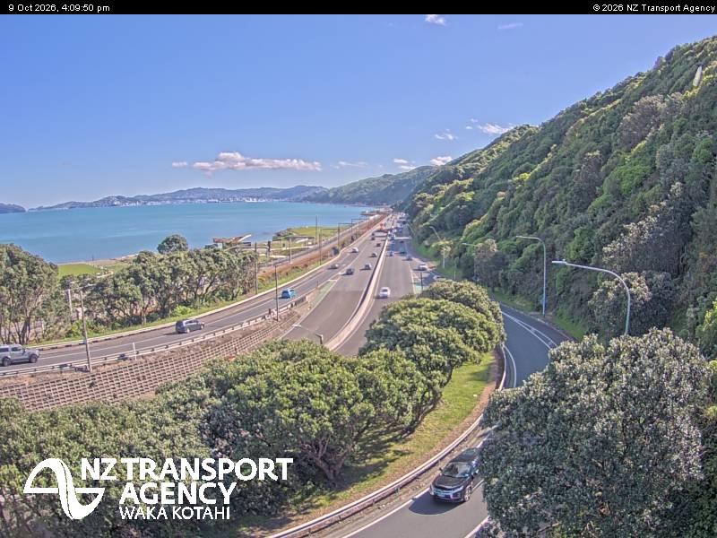 sh2-petone-1791562232.jpg
