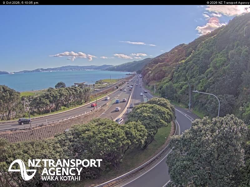 sh2-petone-1791565829.jpg