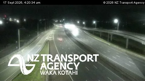 SH16 Patiki Rd
