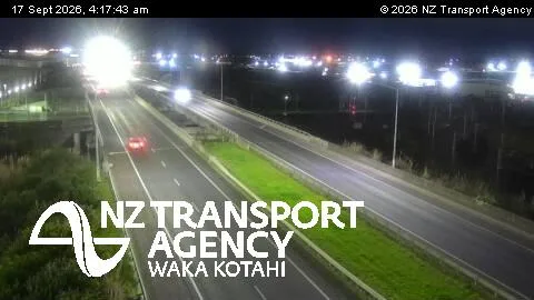 SH20 Plunket Ave Overbridge