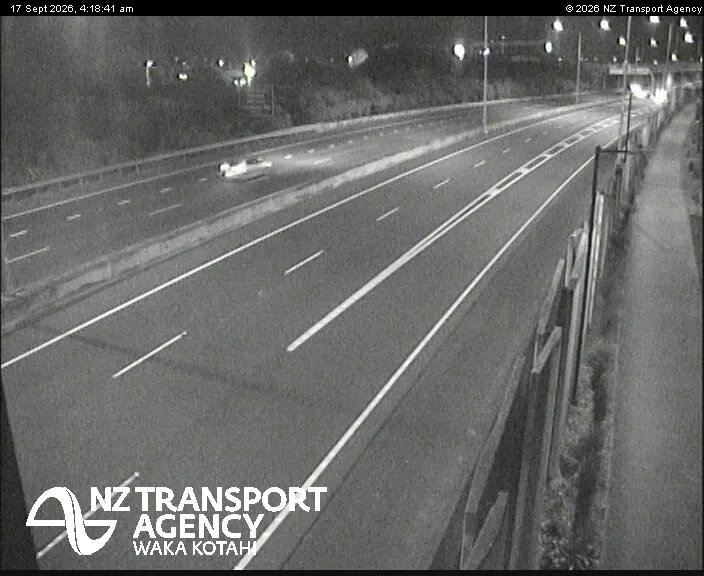 SH20 Te Whitinga Footbridge