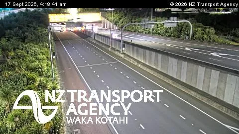 SH20 Waterview